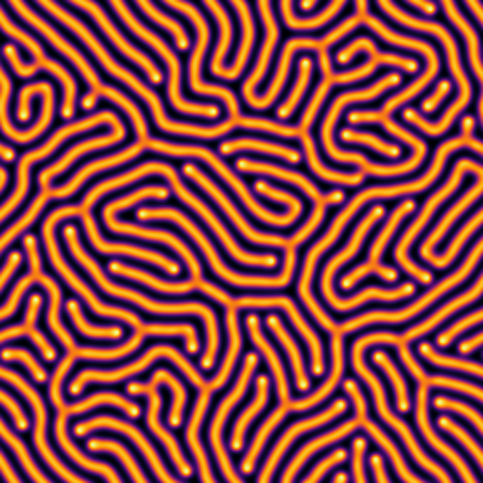 Turing pattern computed with a hand-derived ADI reaction-diffusion solver